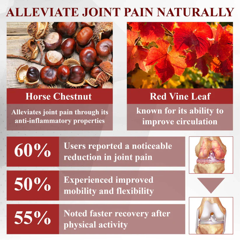 NESLEMY™ Horse Chestnut Arthritis Massage Cream